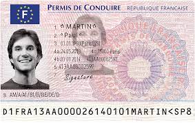 French driving license9